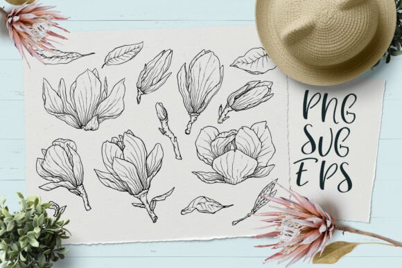 Download Magnolia Hand-drawn Vector Graphics SVG, - Draw Collection