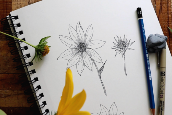Download Floral Drawing Basics Part I: Inspiration, Tools + Basics Techniques - Draw Collection