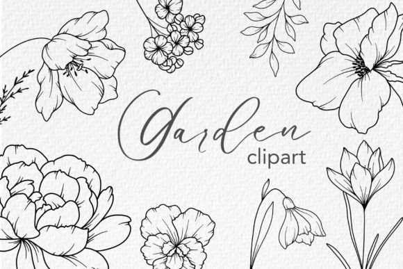 Download FLOWERS LINE DRAWING, Floral Line Art - Draw Collection