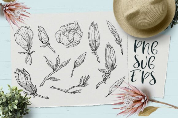 Download Magnolia Hand-drawn Vector Graphics SVG, - Draw Collection