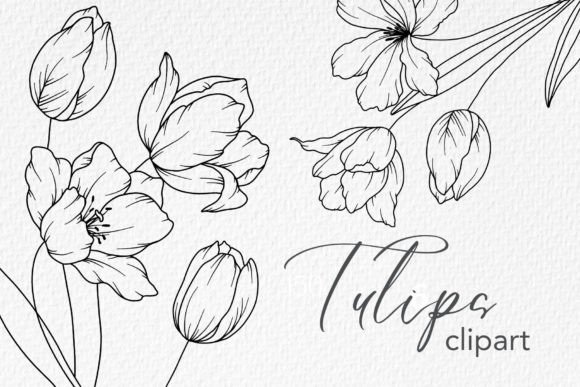 Download Tulips Line Drawing, Floral Line Art - Draw Collection